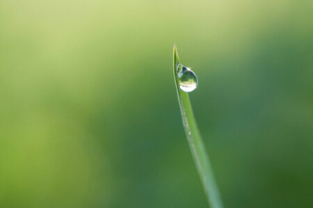 Poem | Feeling Alive