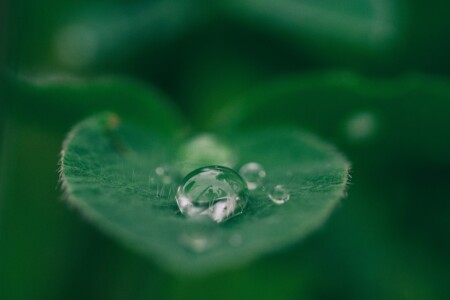 Poem | What a World