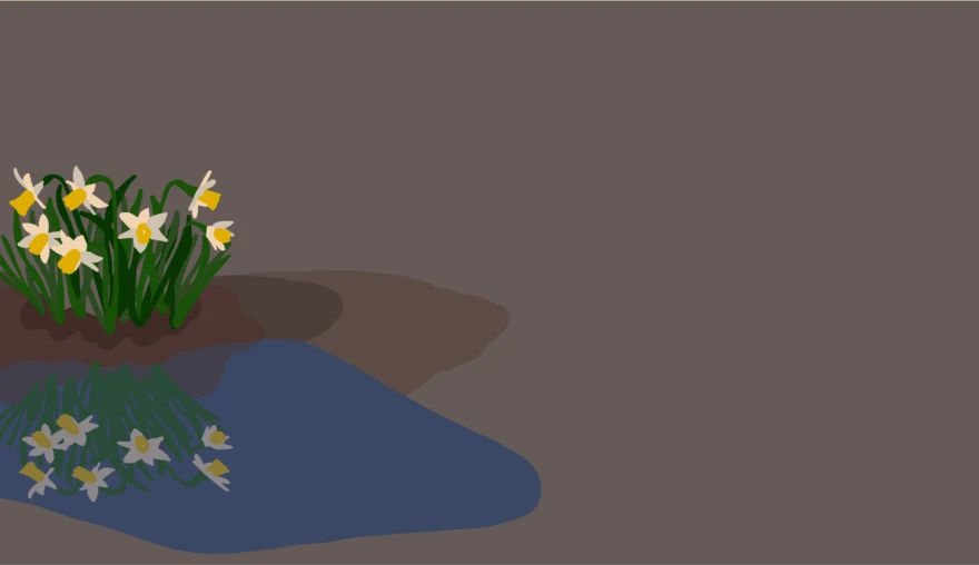 Poem | Narcissus