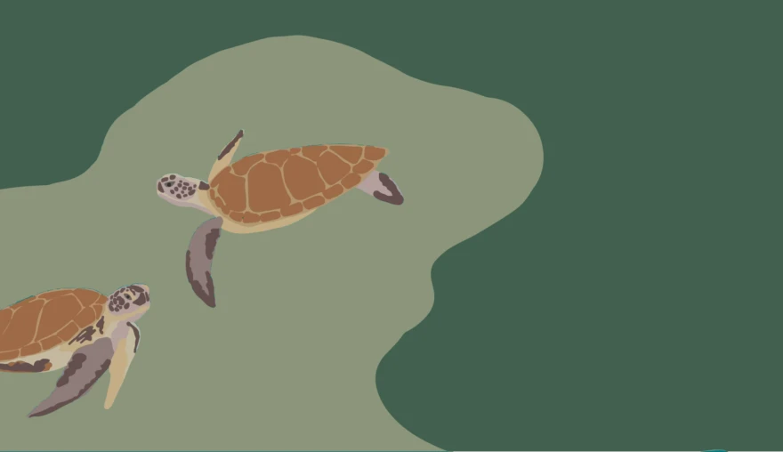 How can marine conservation improve diplomatic relations?