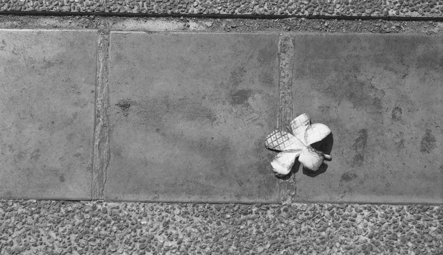 Photography | Resilience