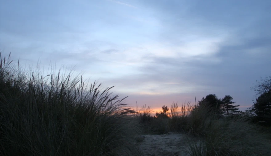 Photography | Sand