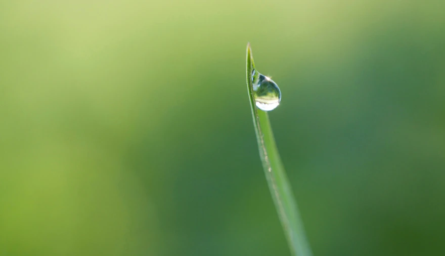 Poem | Feeling Alive