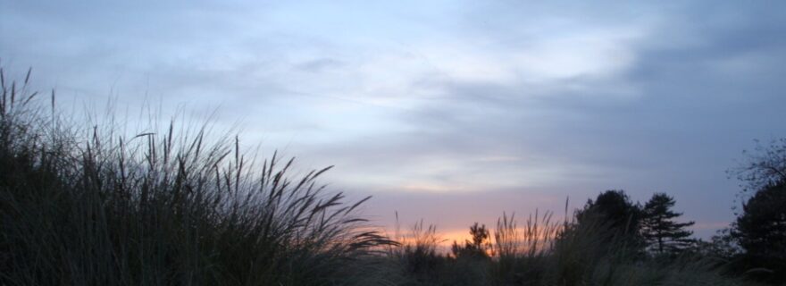 Photography | Sand